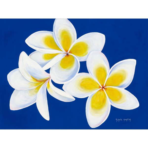 Frangipani Delight